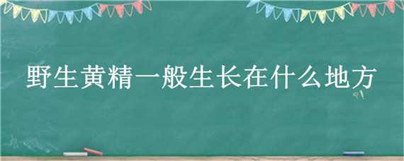 野生黄精一般生长在什么地方（野生黄精一般生长在什么地方的）