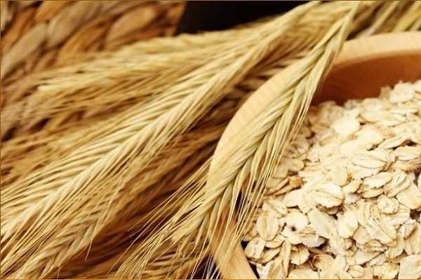 燕麦和莜麦一样吗，两者有什么区别 莜麦大麦燕麦的区别