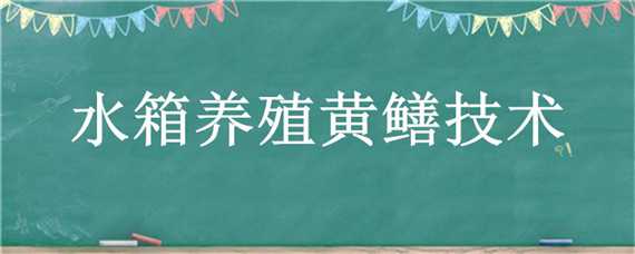 水箱养殖黄鳝技术（水箱养殖黄鳝技术要点）