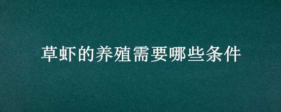 草虾的养殖需要哪些条件