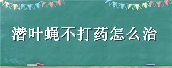 潜叶蝇不打药怎么治（潜叶蝇不打药怎么治病）