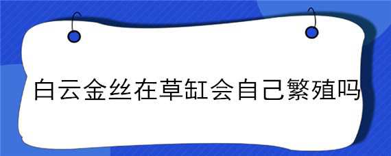 白云金丝在草缸会自己繁殖吗