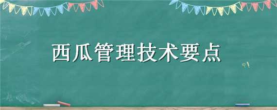 西瓜管理技术要点