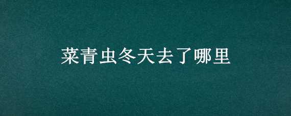 菜青虫冬天去了哪里