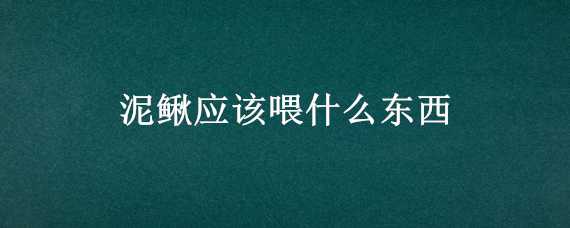 泥鳅应该喂什么东西 泥鳅喂什么东西好