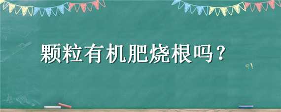 颗粒有机肥烧根吗（生物有机肥烧根吗）