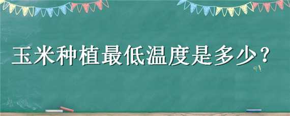 玉米种植最低温度是多少（玉米种植最低温度是多少度）