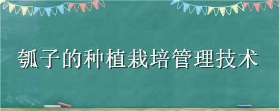 瓠子的种植栽培管理技术 瓠子的种植栽培管理技术视频