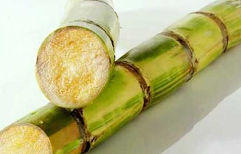 孕妇能吃甘蔗吗?