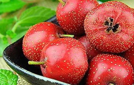 孕妇能吃山楂吗