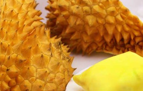 孕妇可以吃榴莲吗