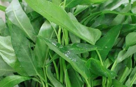 孕妇可以吃空心菜吗