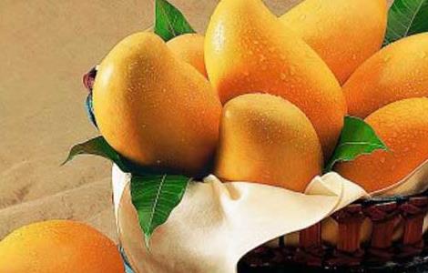 经期可以吃芒果吗