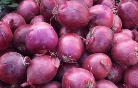 洋葱的功效与作用