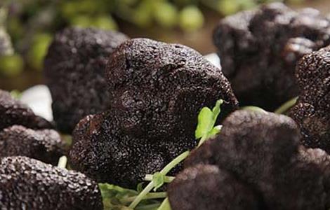 黑松露的功效与作用