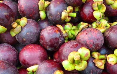 感冒咳嗽能吃山竹吗