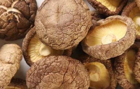 孕妇可以吃香菇吗