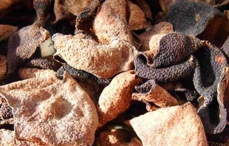 陈皮泡水可以天天喝吗