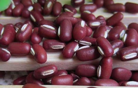 孕妇可以吃赤小豆吗 孕妇可以吃赤小豆吗晚期