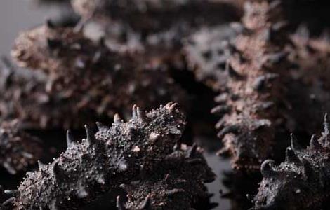 海参什么时候吃