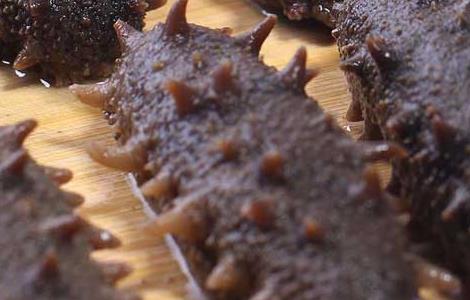 哪些人不能吃海参