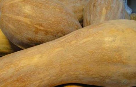 南瓜和山药能一起吃吗