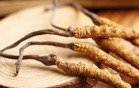 孕妇能吃冬虫夏草吗