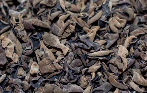 孕妇可以吃木耳吗