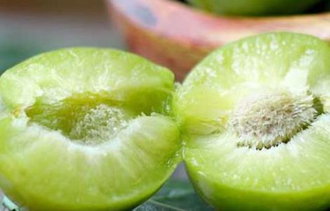 李子酒的功效及酿制方法