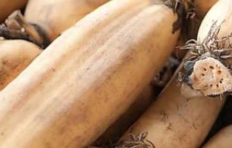 莲藕不能和什么一起吃