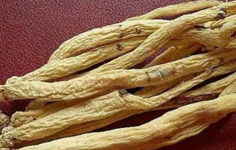 孕妇可以吃党参吗