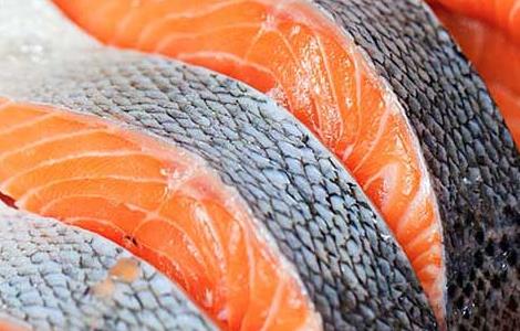 三文鱼有寄生虫吗