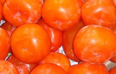 柿子不能和什么一起吃