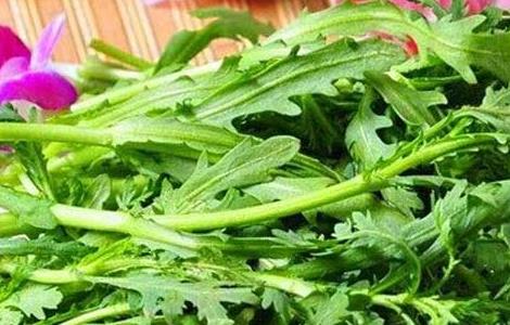 什么人不能吃茼蒿