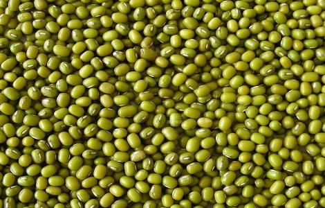 绿豆