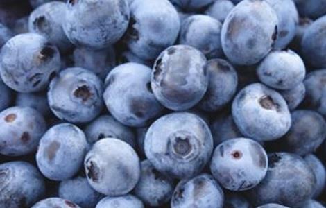 蓝莓