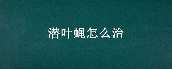 潜叶蝇怎么治 潜叶蝇病害