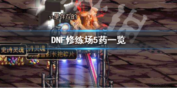 DNF修练场5药是什么(地下城修炼场5药)