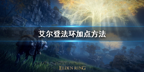 艾尔登法环怎么加点（艾尔登法环怎么加点收益最高）