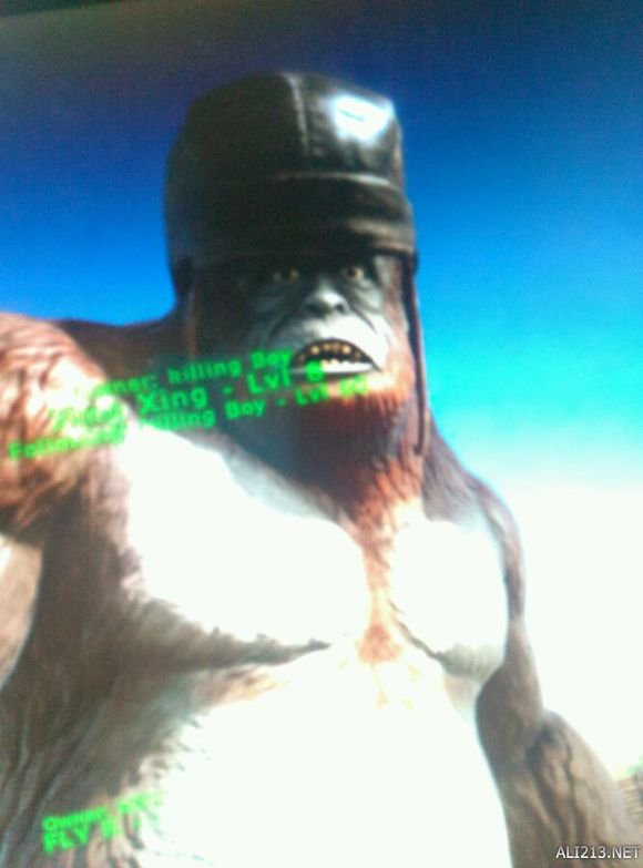 《方舟:生存进化》金刚驯服经验技巧分享攻略