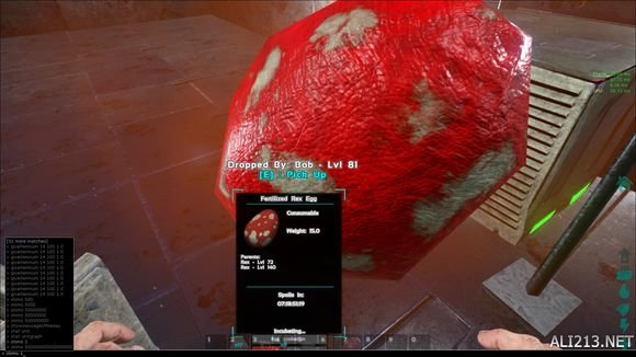 《方舟:生存进化》单机养育恐龙宝宝测试