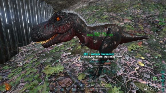 《方舟:生存进化》单机养育恐龙宝宝测试