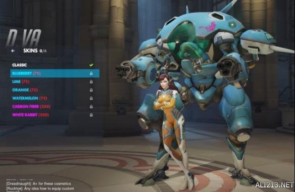 《守望先锋》D.VA皮肤介绍 守望先锋D.VA皮肤