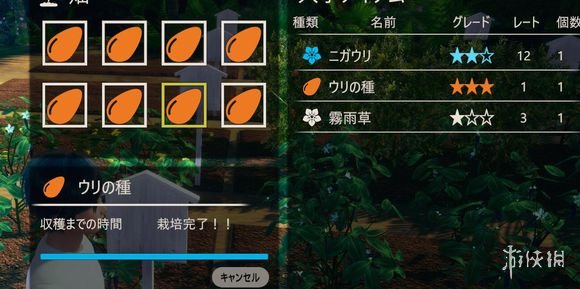 AI少女种子玩法机制说明（ai少女种子怎么用）