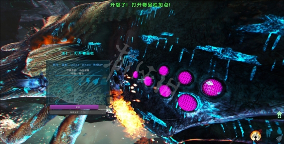 方舟生存进化创世纪月鲸怎么抓 方舟生存进化创世纪鲲抓法