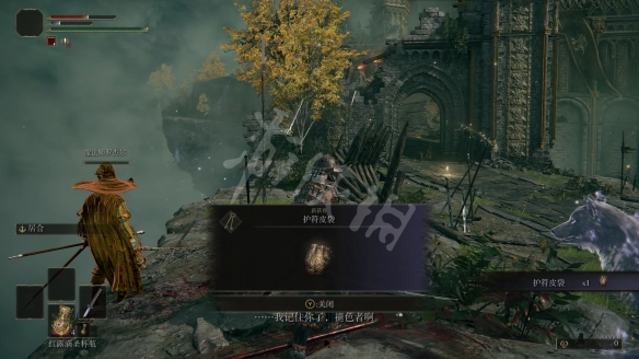 艾尔登法环图文攻略 战斗系统+BOSS打法+装备收集 操作介绍