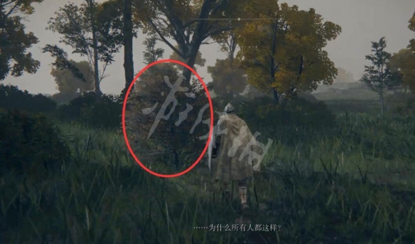 艾尔登法环隐藏npc位置地图大全 艾尔登法环隐藏npc有哪些 魔女蕾娜和召魂铃