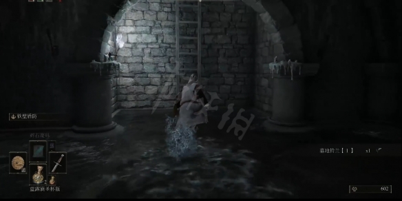 艾尔登法环亚人集团骨灰如何获取 亚人集团骨灰获取方法