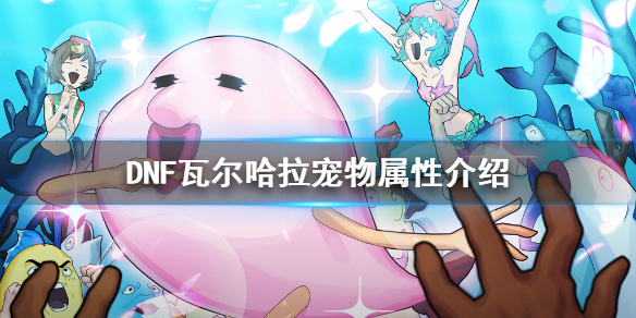 DNF瓦尔哈拉宠物厉害吗 dnf阿拉德宠物