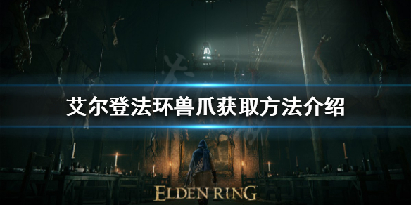 艾尔登法环兽爪如何获得